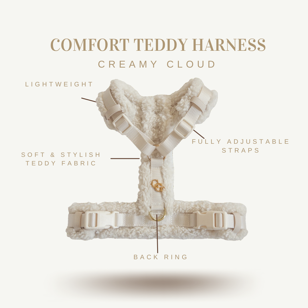 Comfort Teddy Creamy Cloud Full Cozy Bundle