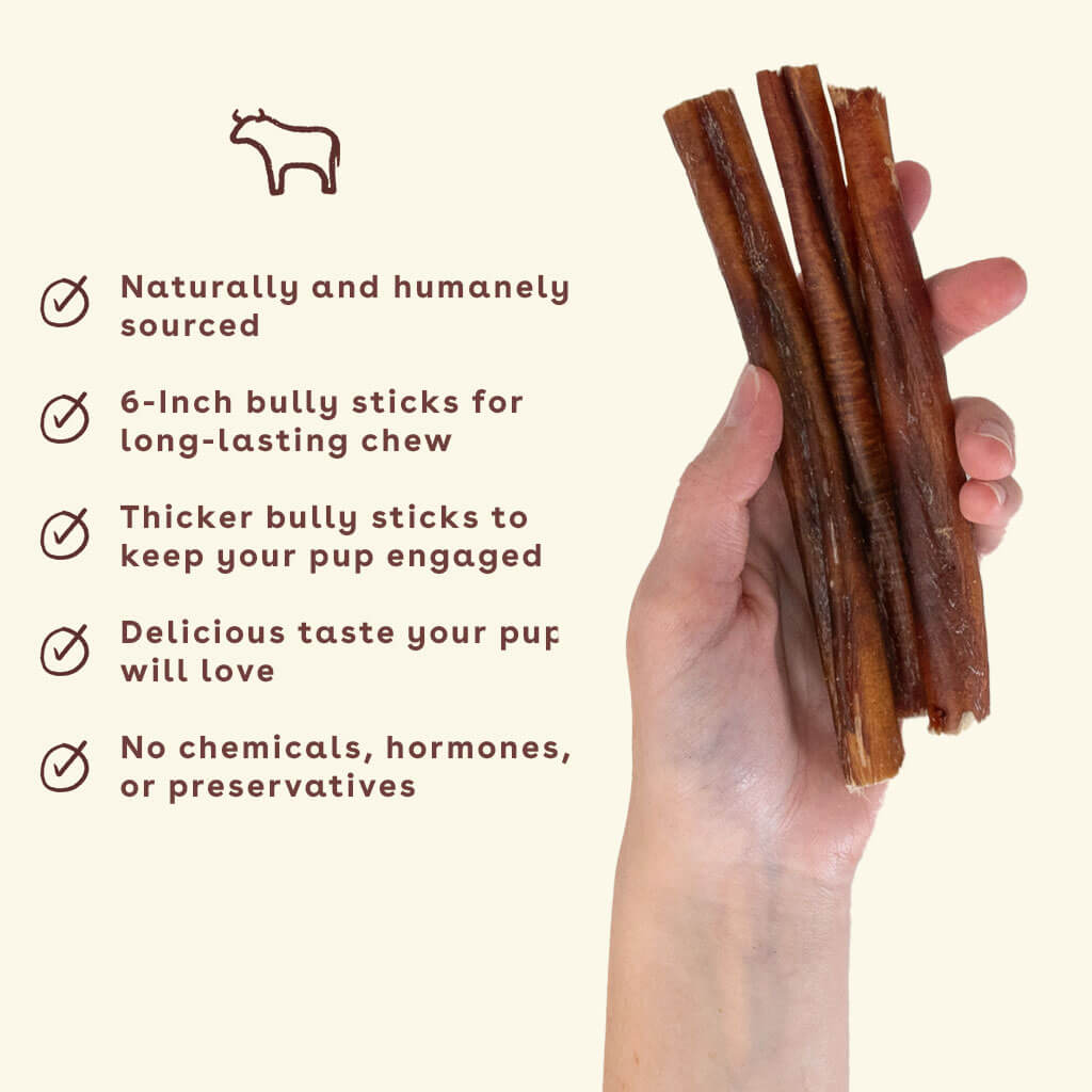 Pupford Engage Bully Stick