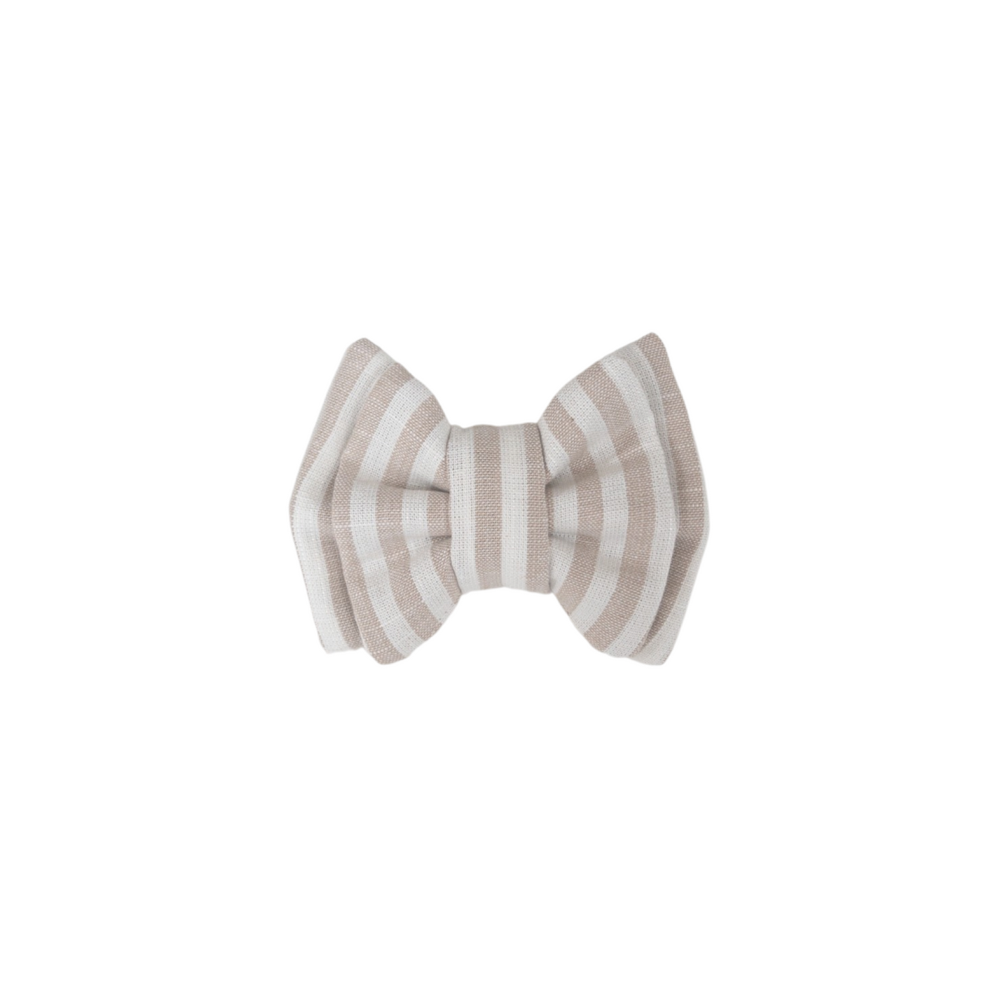 Biscotti Jumbo Bowtie